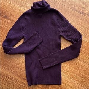 Express Rich Plum Turtleneck Sweater